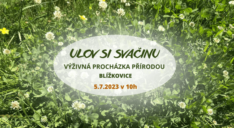 procházka přírodou - poznávání léčivých rostlin a jejich účinků na naše zdraví